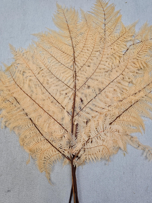 <h4>GESTABILISEERD VAREN MELOEN</h4>