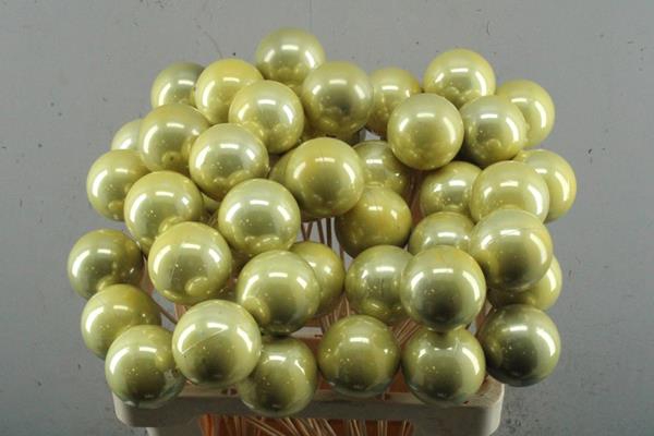 <h4>Droog X-mass Ball Pearl Gold</h4>