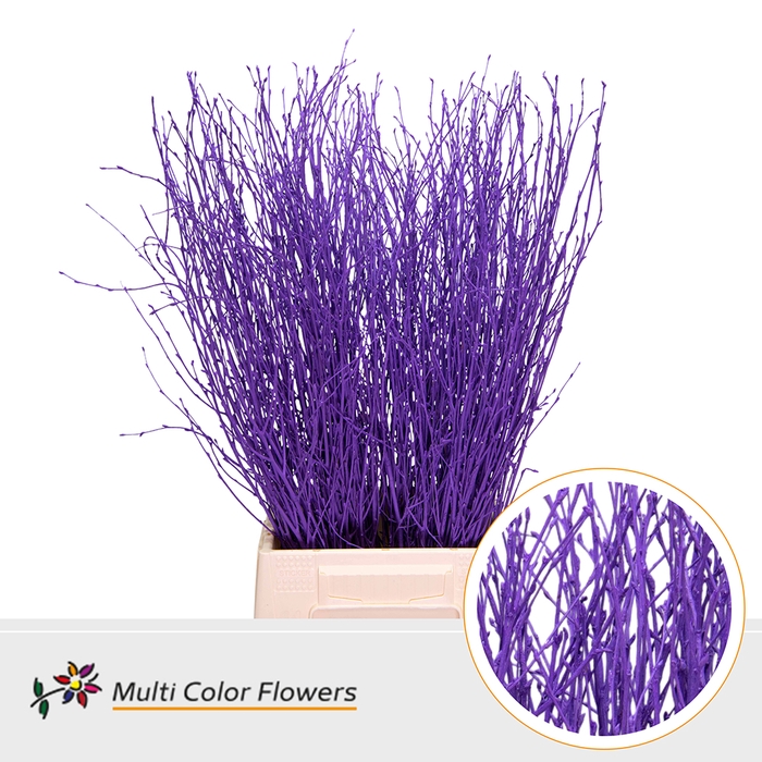 <h4>Berk Lila Donker</h4>