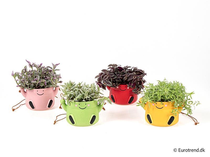 <h4>E 4488 mr swing king 10,5 cm</h4>