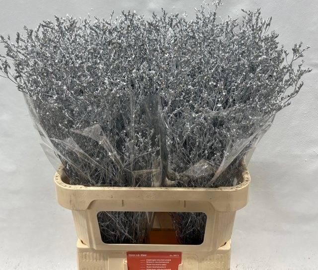 <h4>LIM OV KLB H%</h4>