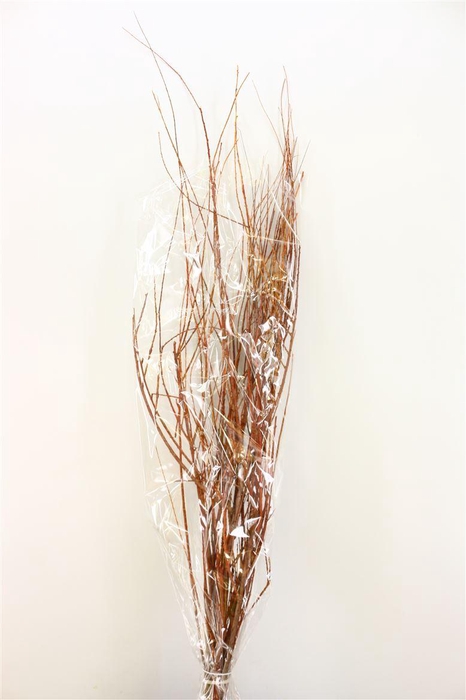 <h4>Dried Tamerice Natural Bunch Poly</h4>