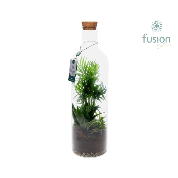 <h4>Green Bottle Fles Large met Arrangement</h4>