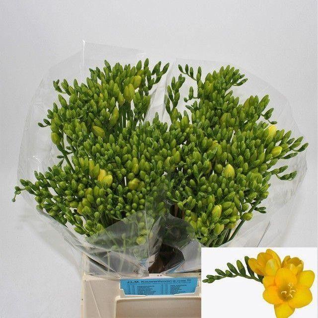 <h4>FR EN SERRADA</h4>