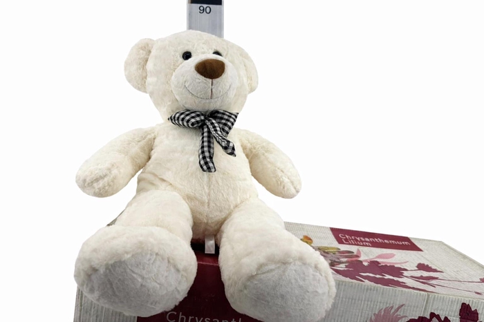 <h4>HUIS EN TUINDECO H%</h4>