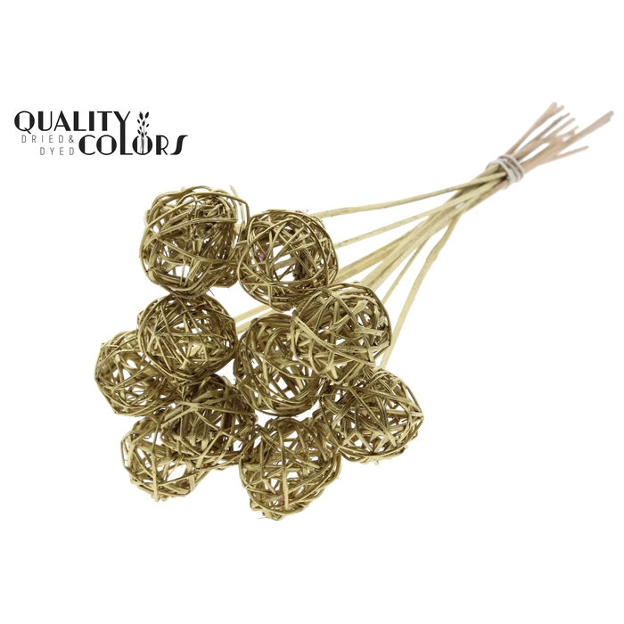 <h4>Bruce Ball 5cm on stem Gold</h4>