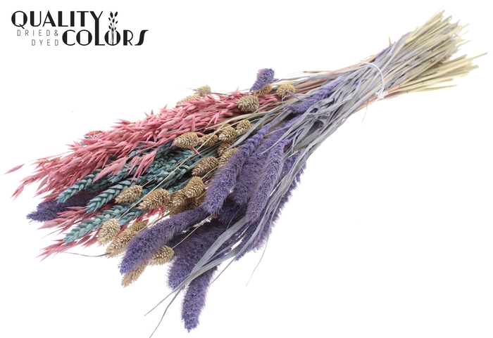 <h4>Dried Flower mix bunch Colourful 1</h4>