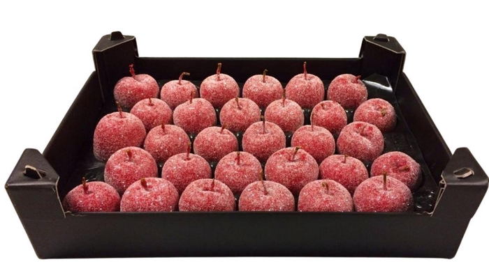 <h4>Waxappel Gl Rood Kerst</h4>