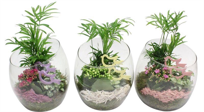 <h4>2341 SCHUIN HOOG GLAS IND</h4>