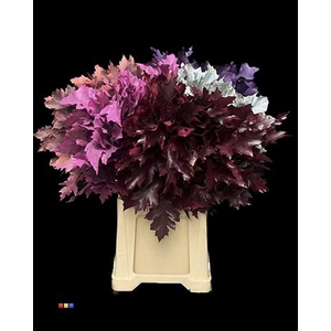 Eikeblad Mix 60cm
