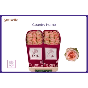 R GR COUNTRY HOME