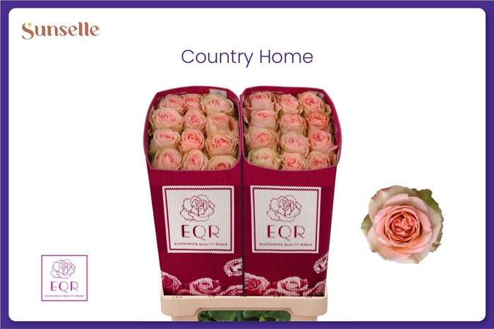 <h4>R GR COUNTRY HOME</h4>