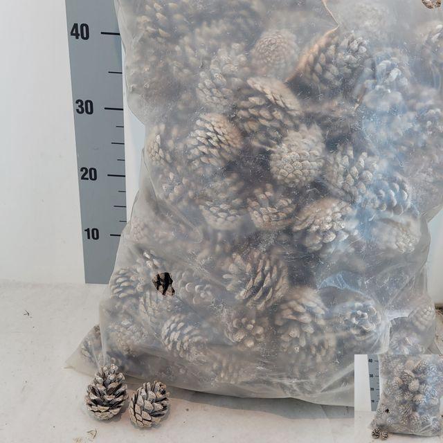 <h4>Y ARR DENNENAP. LOS WHITE WASH PER KG</h4>