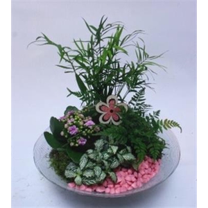 5474 Glas 30cm Valentijn