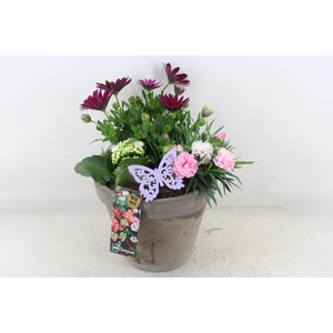 arr4 Outdoor MB - Ker. bloempot choco