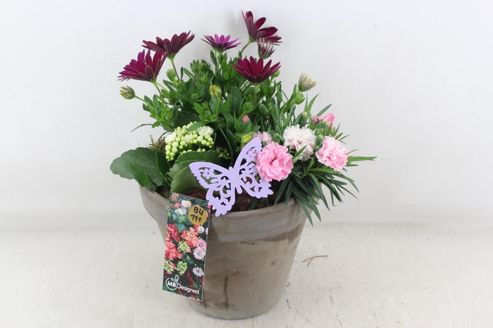 <h4>arr4 Outdoor MB - Ker. bloempot choco</h4>