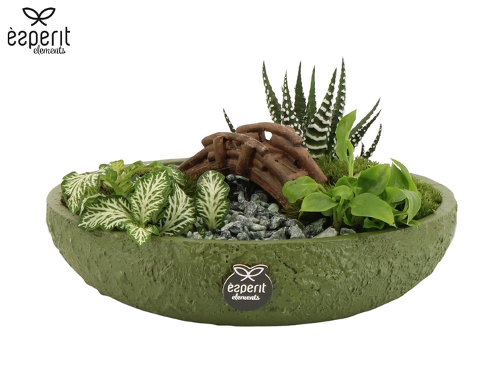 <h4>90766: Landscape arrangement</h4>