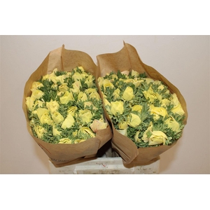 Anem Marianne Powder Yellow