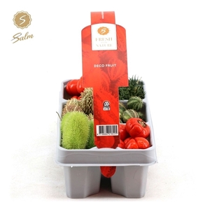 Deco Fruit '6-pack'