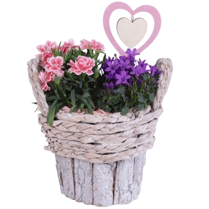 Mothersday Arr. Outdoor Wooden White Washed Bark Bucket Ø19cm 2P
