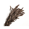 Setarea Pendula Brown