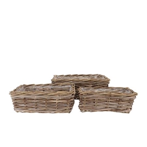 Rattan Ivy Basket Rectangle S/3 L34/37/41 W18/22/2