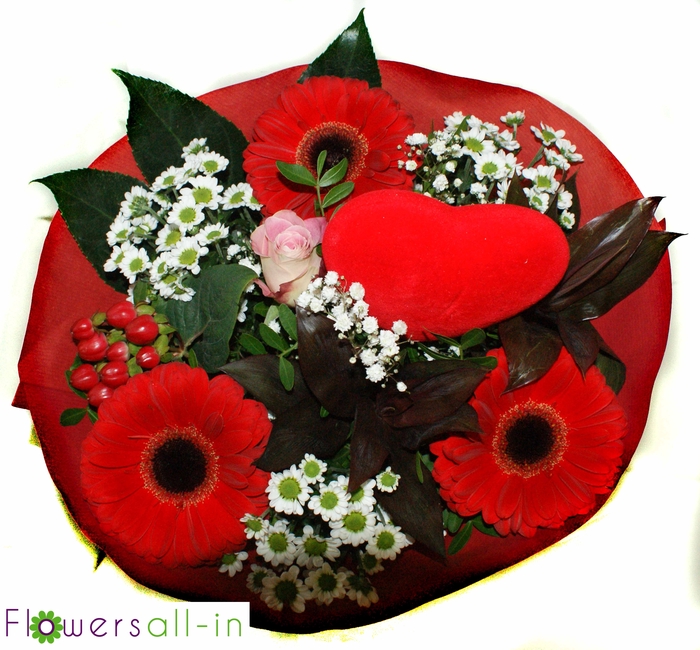 <h4>M202407 Rood</h4>