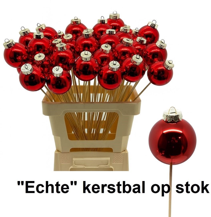 <h4>Kerstbal Op Stok H%</h4>