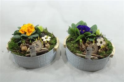 <h4>3817 Zink Handvat Primula</h4>