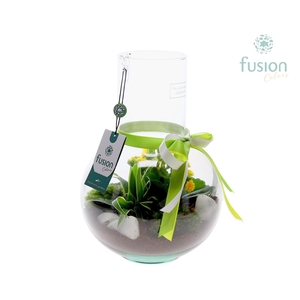 Green Bottle Suzanne Medium met arrangement