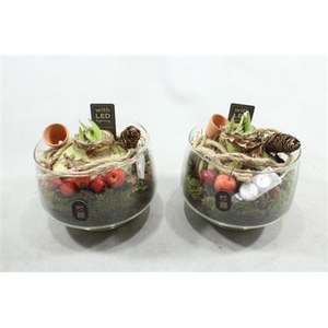 2903 Amar Xl Rond Glaasje Led