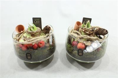 <h4>2903 Amar Xl Rond Glaasje Led</h4>