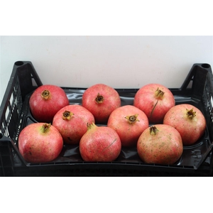 Sier Granaatappel Rood X9 P Box