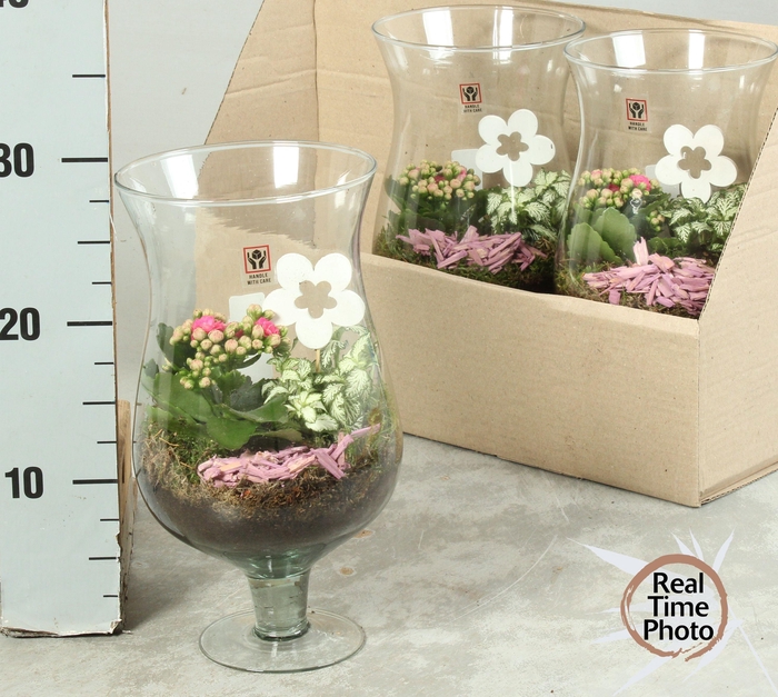 <h4>ARR KAMERPL</h4>