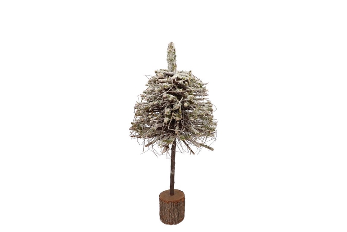 <h4>Festive Tree Poplar Moss With Snow 20x20x50cm</h4>