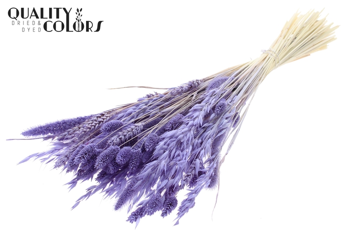 <h4>Dried Flower Mix bunch Bleached Frosted Milka</h4>