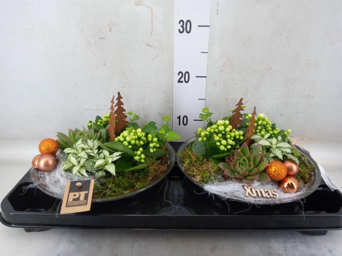 <h4>Arr. Kerst L%</h4>