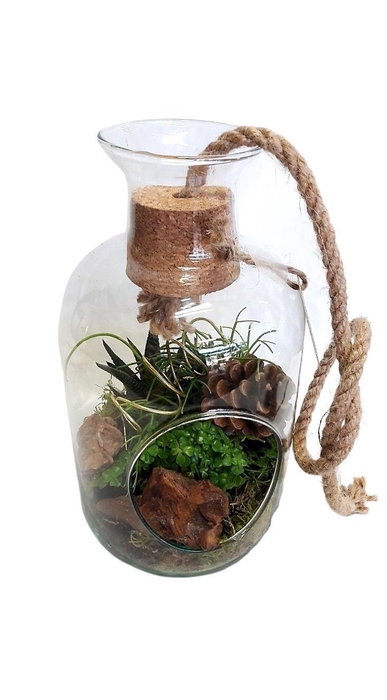 <h4>Arr.   Kamerplant Groen H%</h4>