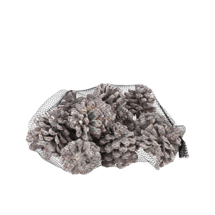 <h4>Nature Pinus Pinea Stone Washed White P/12</h4>