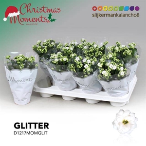 KALAN CALAN WHITE GLITTER