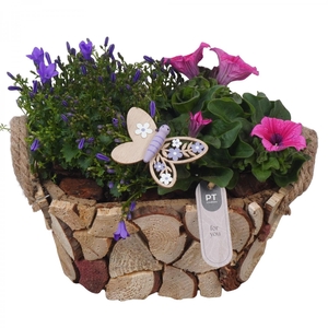 PTPP7023 Arrangement Patio in houten ovale bak