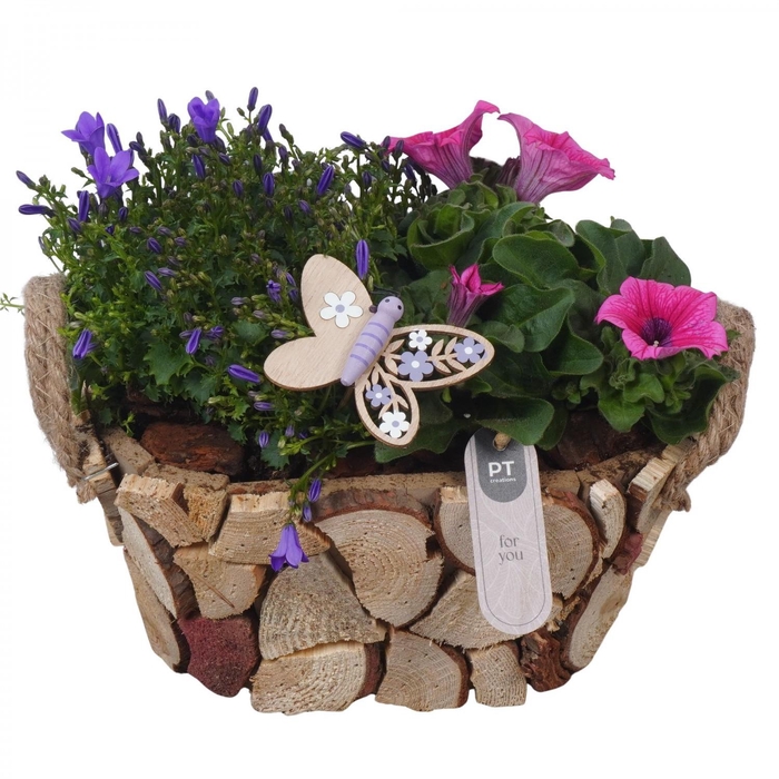 <h4>PTPP7023 Arrangement Patio in houten ovale bak</h4>