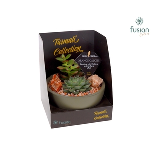 Schaal keramiek Moon Small groen Turmali Collection edelstenen met Succulenten