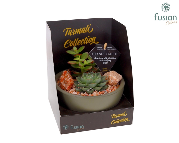 <h4>Schaal keramiek Moon Small groen Turmali Collection edelstenen met Succulenten</h4>