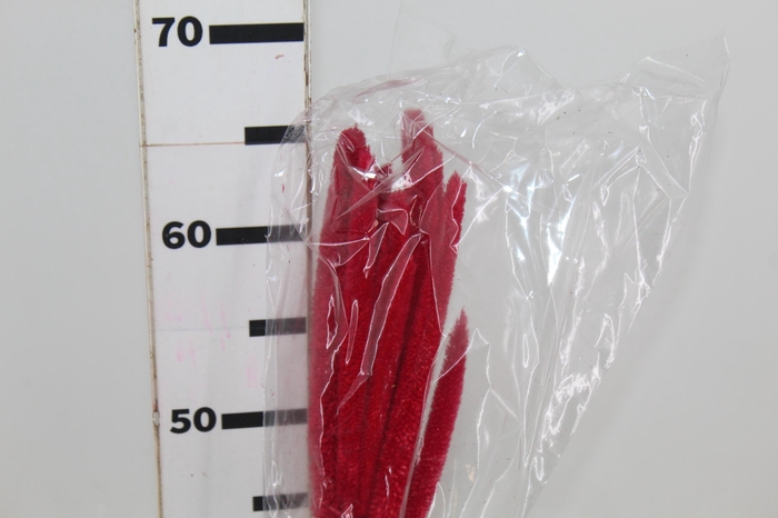 <h4>FLOR DE MILETO DESIDRATADO</h4>