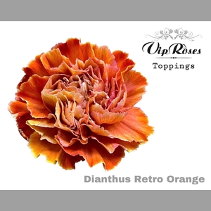 DI ST RETRO ORANGE