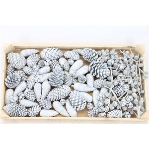PINECONE MIX WAX WHITE