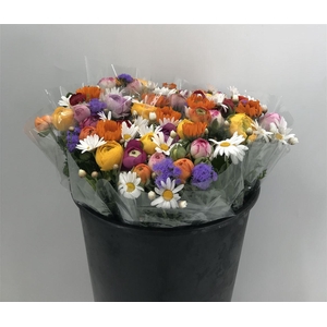 BQT PRIMAVERA 10 FIORI