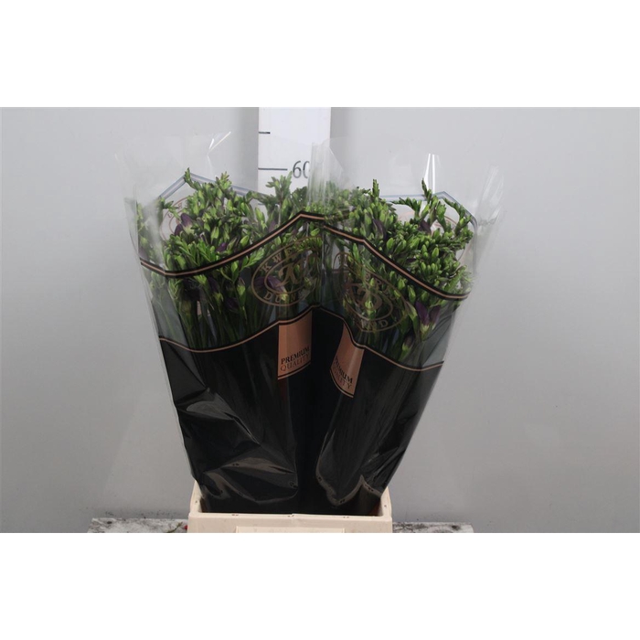 <h4>Fr En Delta River</h4>