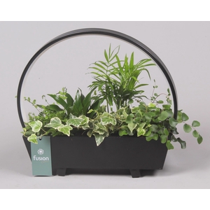 Lamp LED boog hout met Arrangement